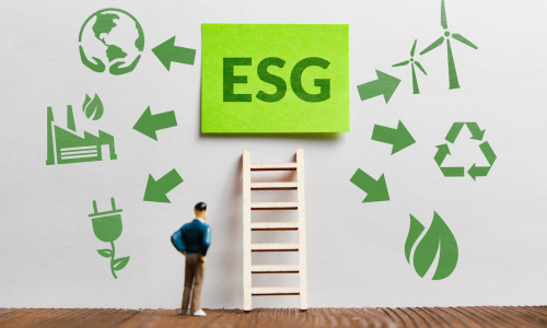 The Sustainable Investor_ How to Build a Green Portfolio with ESG Funds